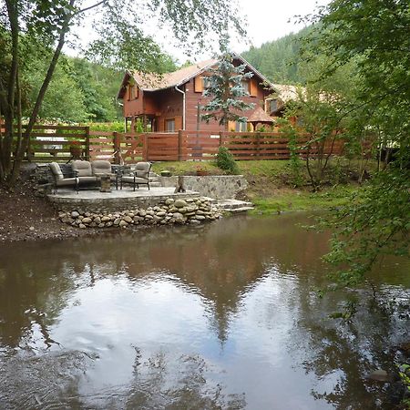 Nagy Lak Villa Sub Cetate Buitenkant foto